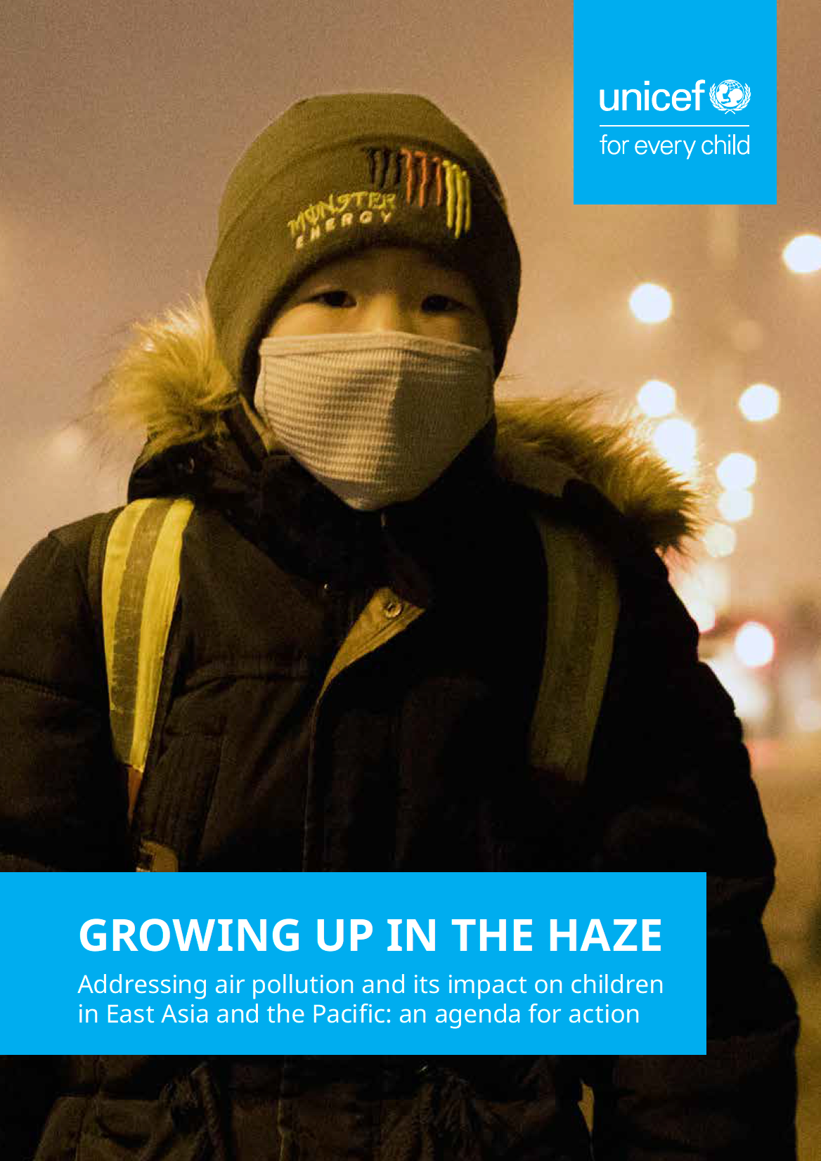 cover of report