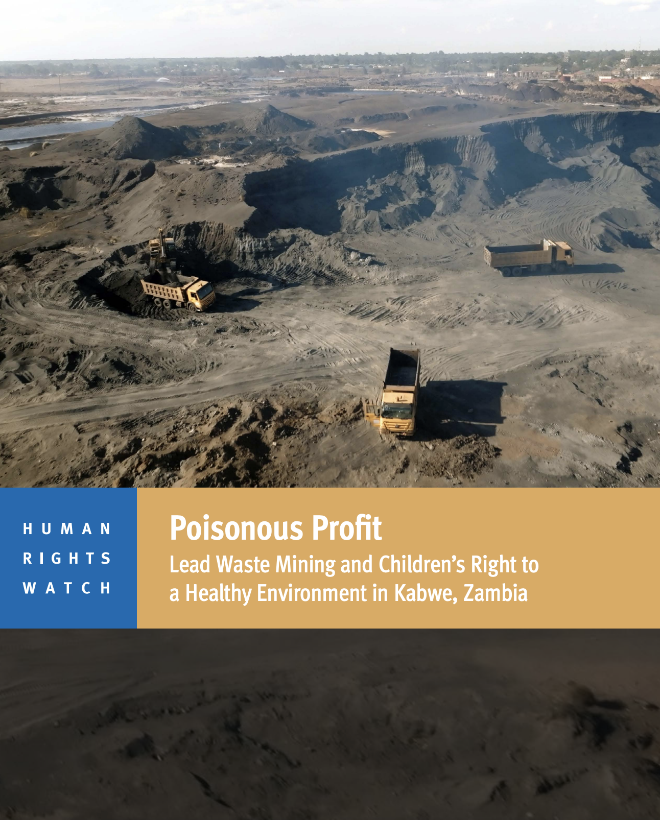 cover of report