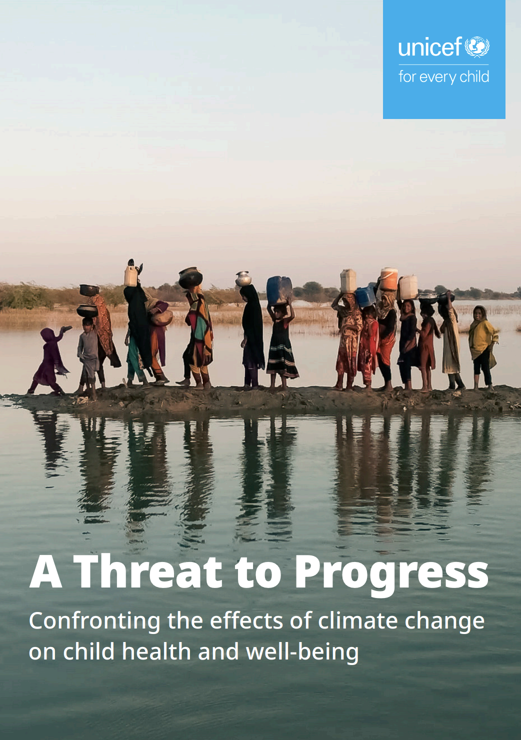 report cover